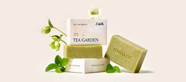 OSULLOC Jeju Green Tea Cleansing Bar, from Korea_KT